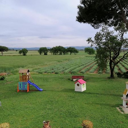 Agriturismo Susanna E Atria Bibbona Dış mekan fotoğraf