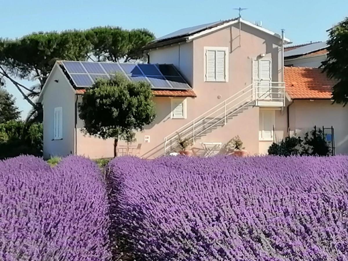 Agriturismo Susanna E Atria Bibbona Dış mekan fotoğraf