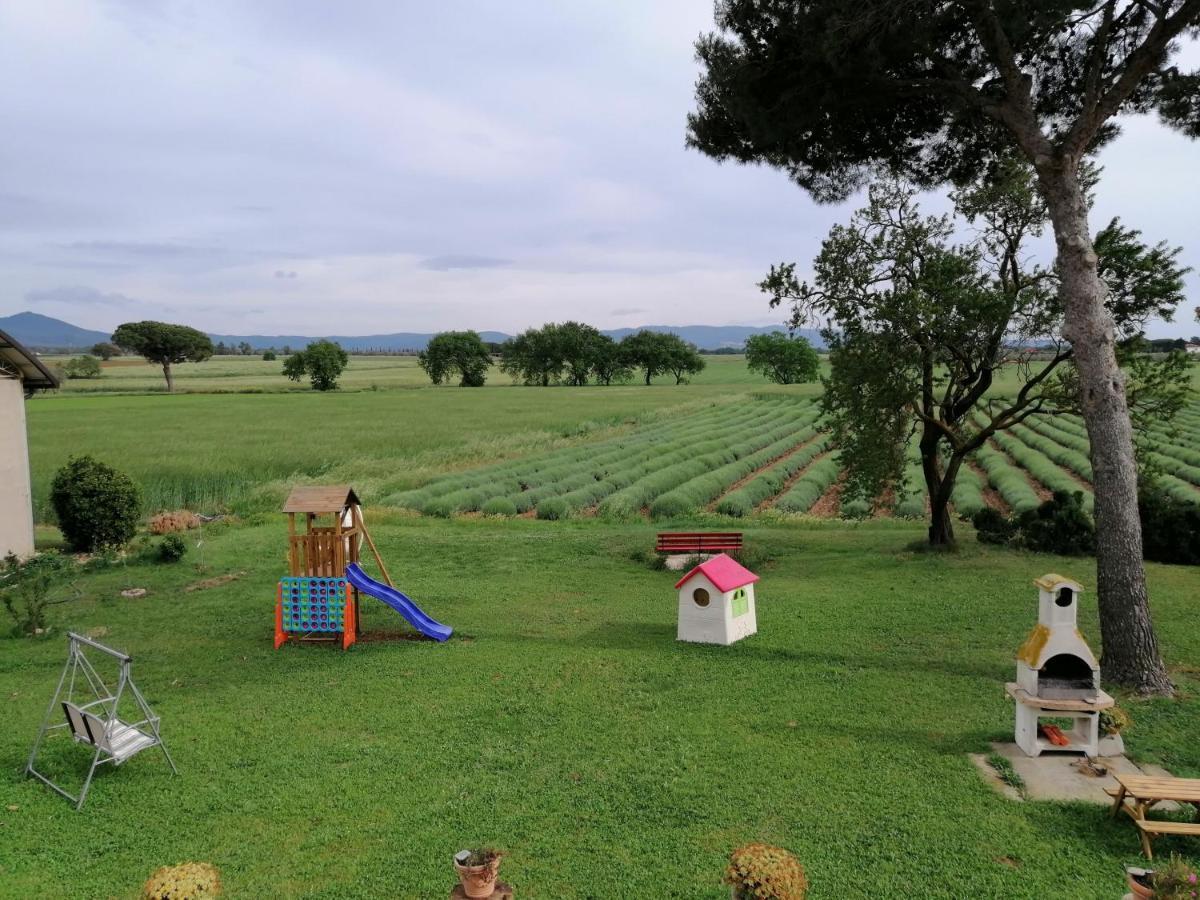 Agriturismo Susanna E Atria Bibbona Dış mekan fotoğraf